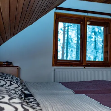 Holiday home Rustic Tara *