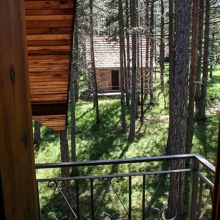 Rustic Tara *