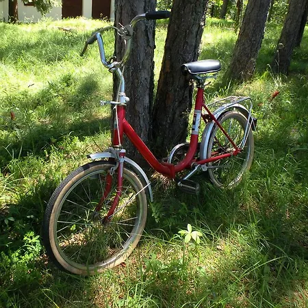 Rustic Tara * Kaludjerske Bare