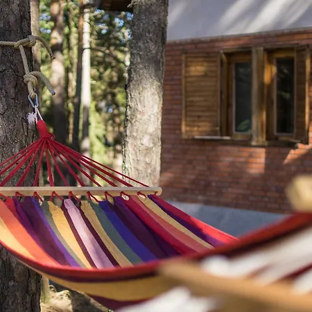 Rustic Tara Holiday home