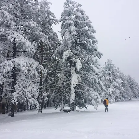 Rustic Tara Holiday home