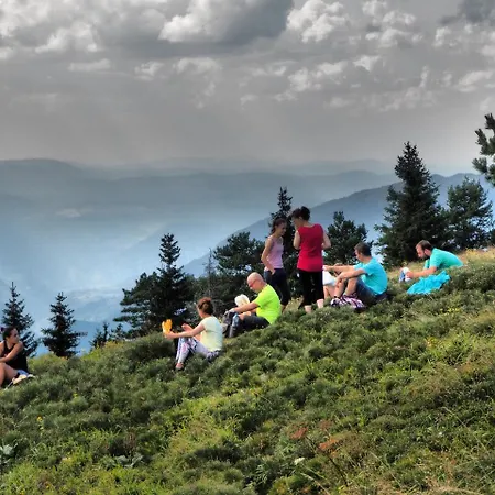 Rustic Tara Holiday home *