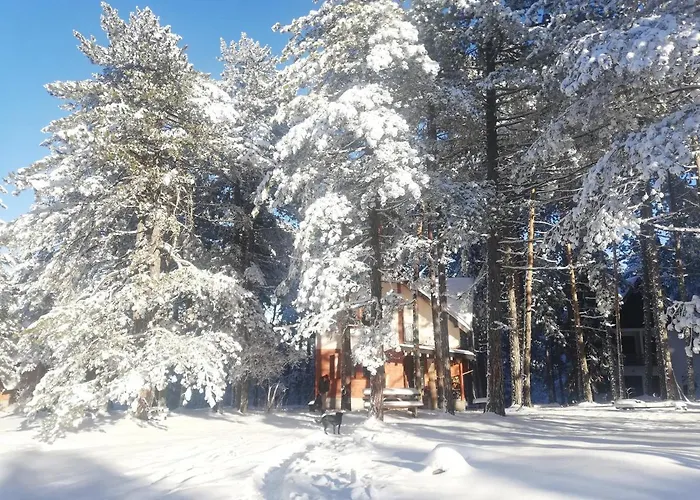 Rustic Tara Semesterbostad