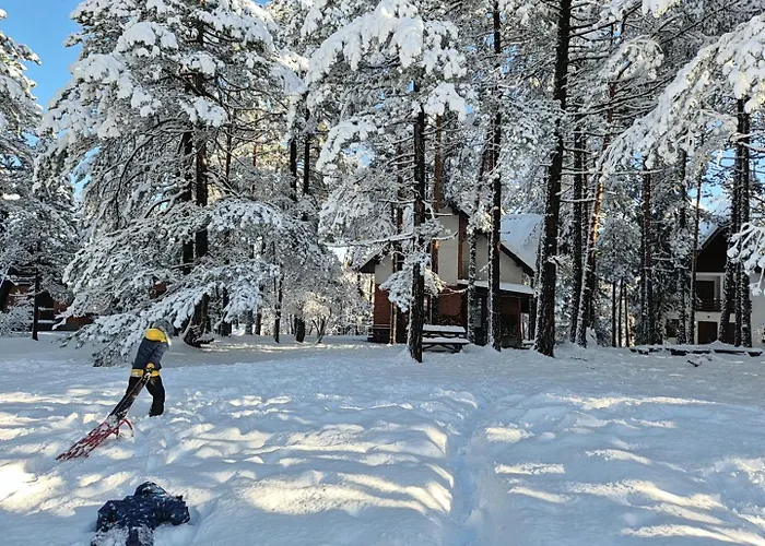 Rustic Tara * Kaludjerske Bare