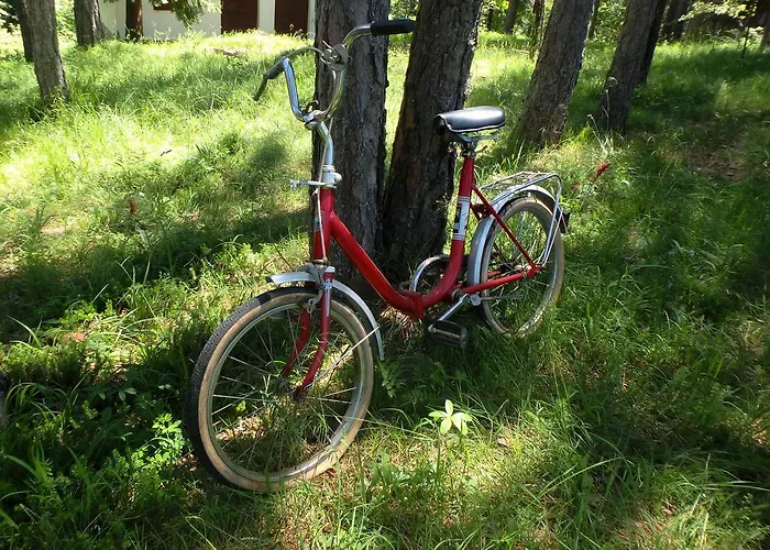 Rustic Tara * Kaludjerske Bare